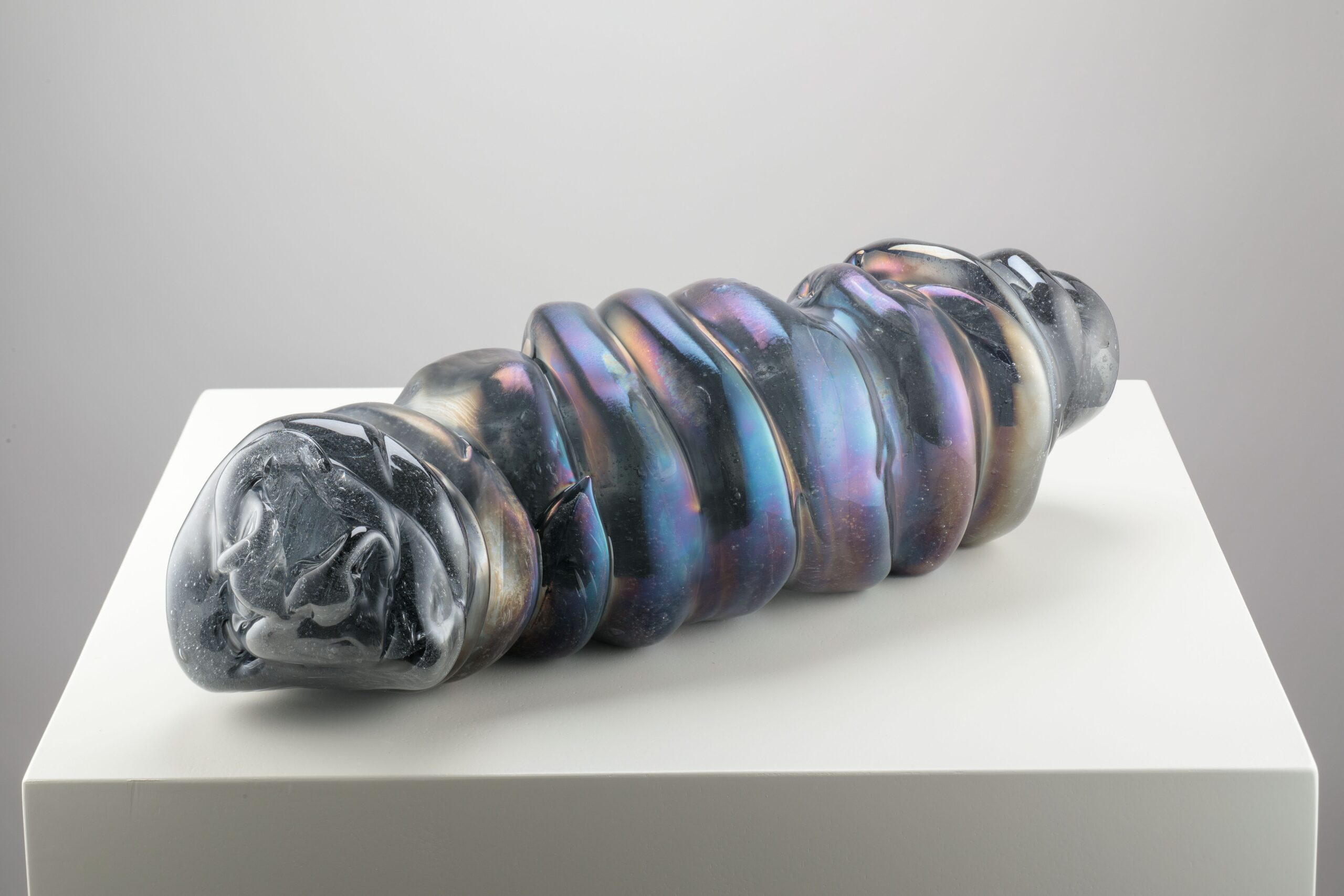 Barovier Yang Jiechang, Worm, (c) Francesco Allegretto